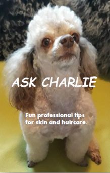Ask Charlie - Issue 1