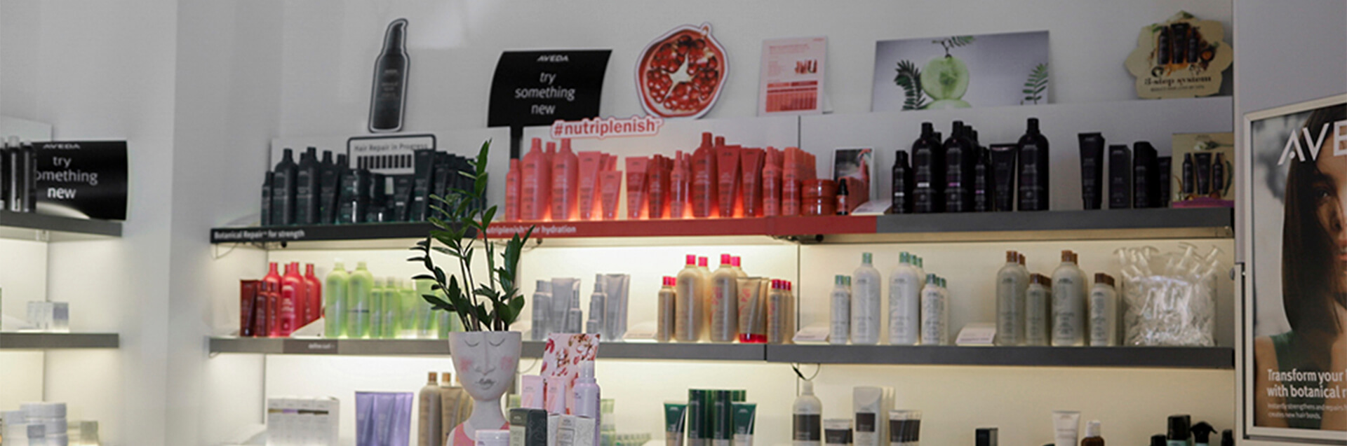 Shelves display various hair and skincare products in bottles and tubes, organized by color and type, with promotional signs and a plant in the foreground at this eco friendly beauty salon spa. - Garbo A Salon & Spa TX