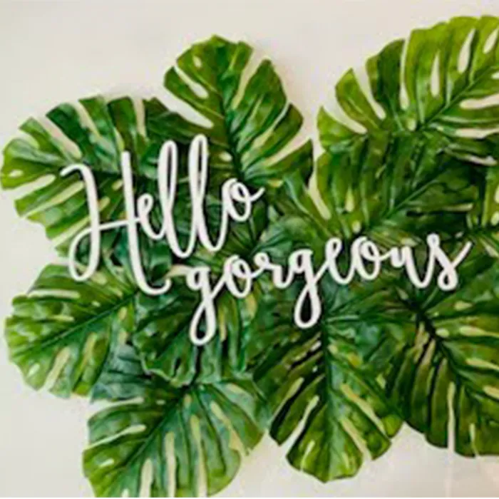 Green tropical leaves arranged on a wall with the words "Hello gorgeous" in white cursive letters placed on top. - Garbo A Salon & Spa TX